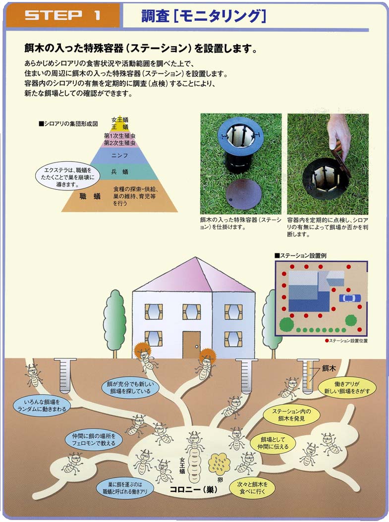 ステップ1